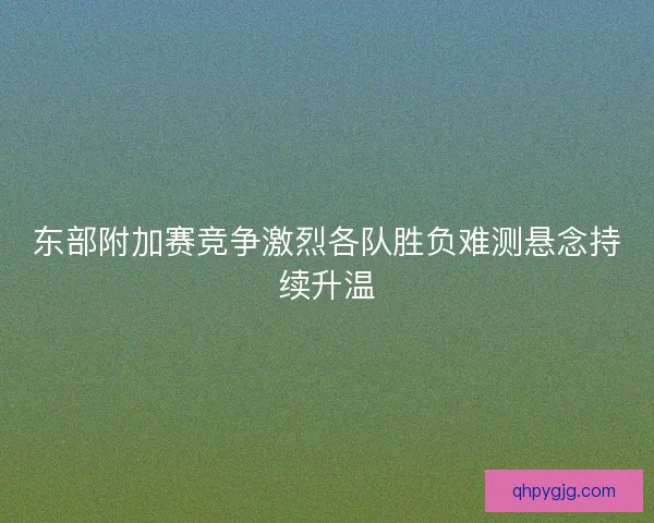 东部附加赛竞争激烈各队胜负难测悬念持续升温